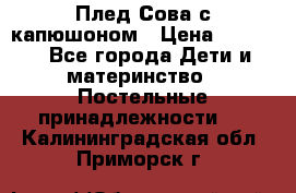 Плед Сова с капюшоном › Цена ­ 2 200 - Все города Дети и материнство » Постельные принадлежности   . Калининградская обл.,Приморск г.